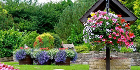 Jaké květiny prasne v dubnu 2022 na sazenice a v otevřené půdě: čas přistání